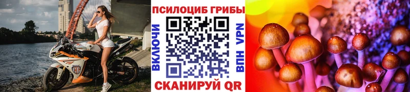 Псилоцибиновые грибы Magic Shrooms Ясный